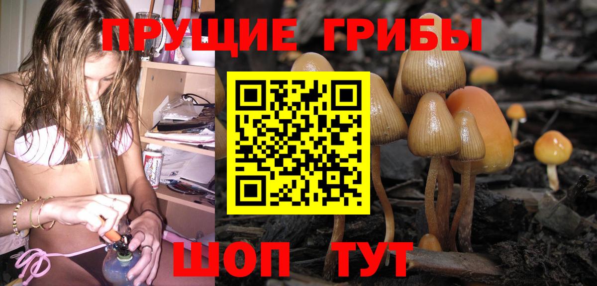 Галлюциногенные грибы Cubensis  Псилоцибиновые грибы Cubensis  Вход с VPN  Великий Устюг 