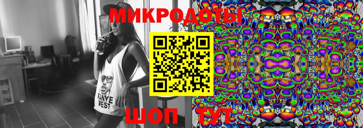 Псилоцибиновые грибы прущие грибы Великий Устюг